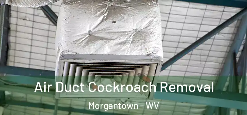  Air Duct Cockroach Removal Morgantown - WV