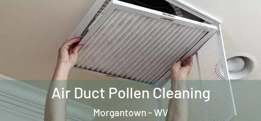  Air Duct Pollen Cleaning Morgantown - WV