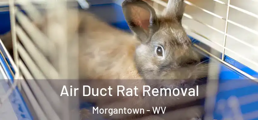 Air Duct Rat Removal Morgantown - WV