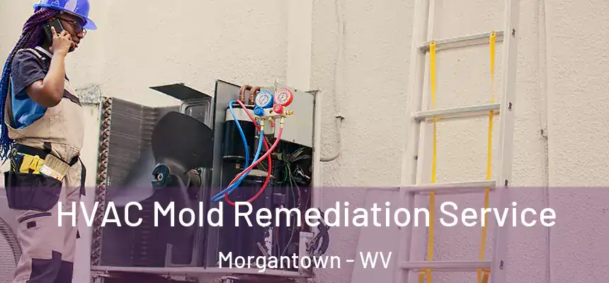  HVAC Mold Remediation Service Morgantown - WV