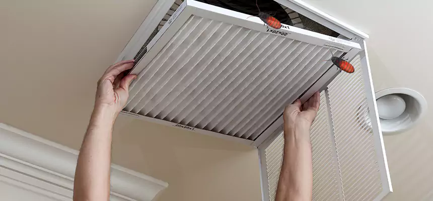 Preventive Cockroach-Proofing for Ducts in Morgantown