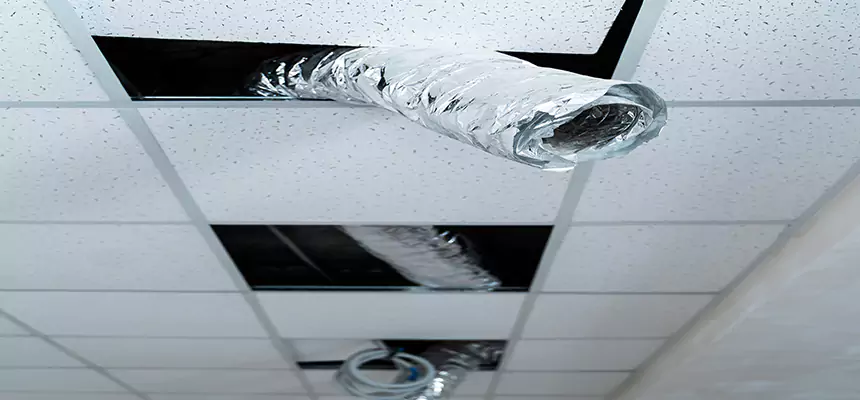 Affordable HVAC Sanitizing After Pest Removal in Morgantown