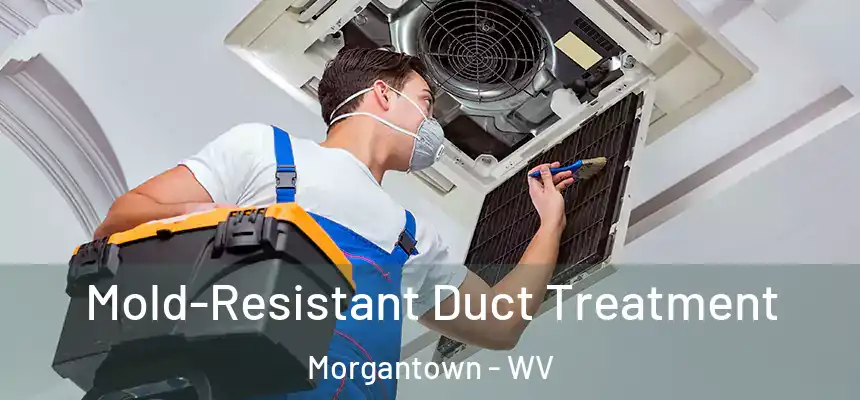  Mold-Resistant Duct Treatment Morgantown - WV