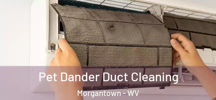  Pet Dander Duct Cleaning Morgantown - WV