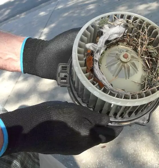 About Air Duct Rat Removal in Morgantown, WV