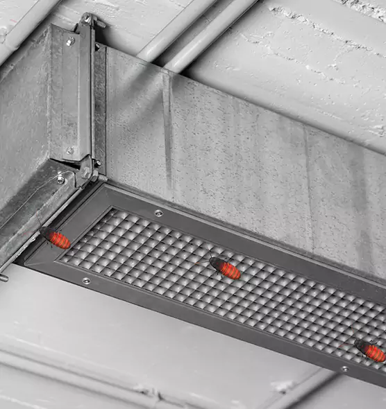 Affordable Insect Removal from Air Ducts in Morgantown, WV