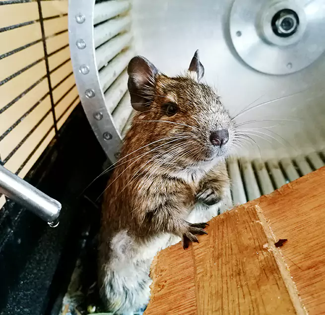 Why Homeowners & Businesses Trust Us Morgantown, WV